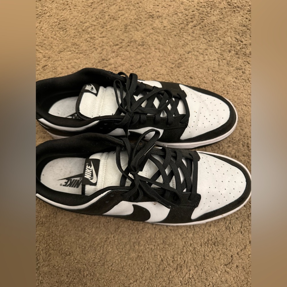 Nike dunk low retro men’s shoes